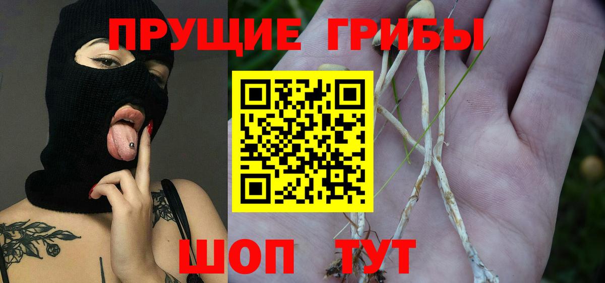 Псилоцибиновые грибы прущие грибы Тула