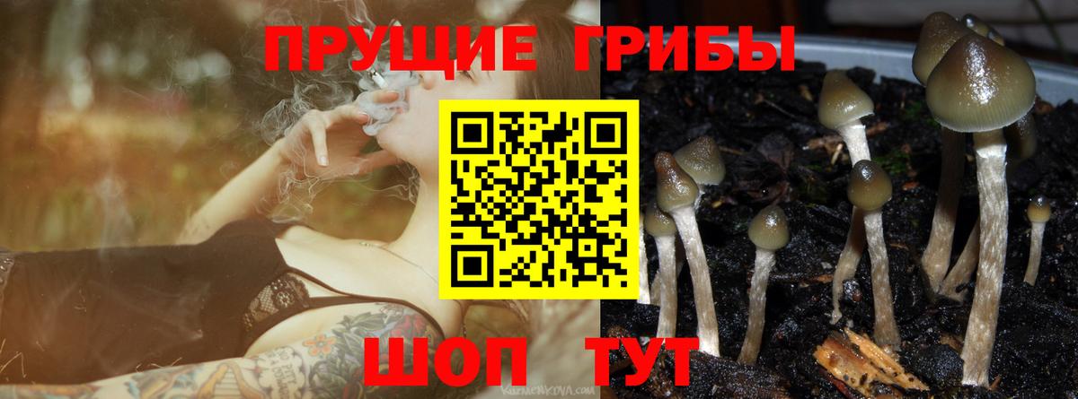 Тула  Галлюциногенные грибы GOLDEN TEACHER  Вход с VPN 